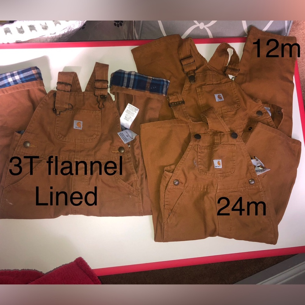 Carhartt bibs lot